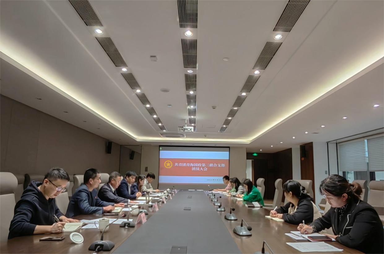 金沙电子(中国)集团有限公司第三联合团支部召开团员大会—凝聚青年力量  助力国企发展
