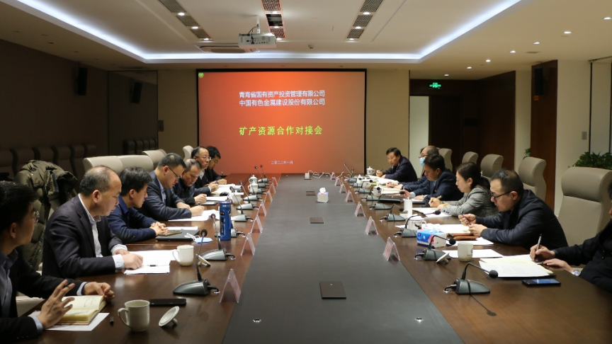 金沙电子(中国)集团有限公司与中国有色股份开展矿产资源合作洽谈