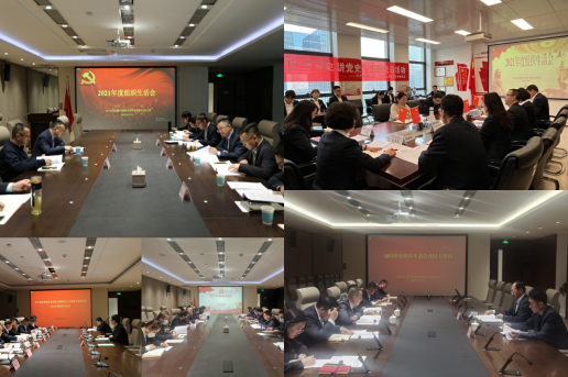 金沙电子(中国)集团有限公司所属各支部召开2021年度组织生活会和开展党员民主评议