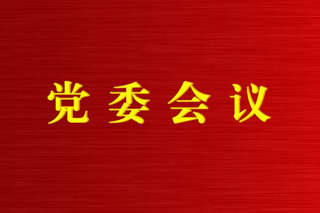 金沙电子(中国)集团有限公司召开第12次党委会议