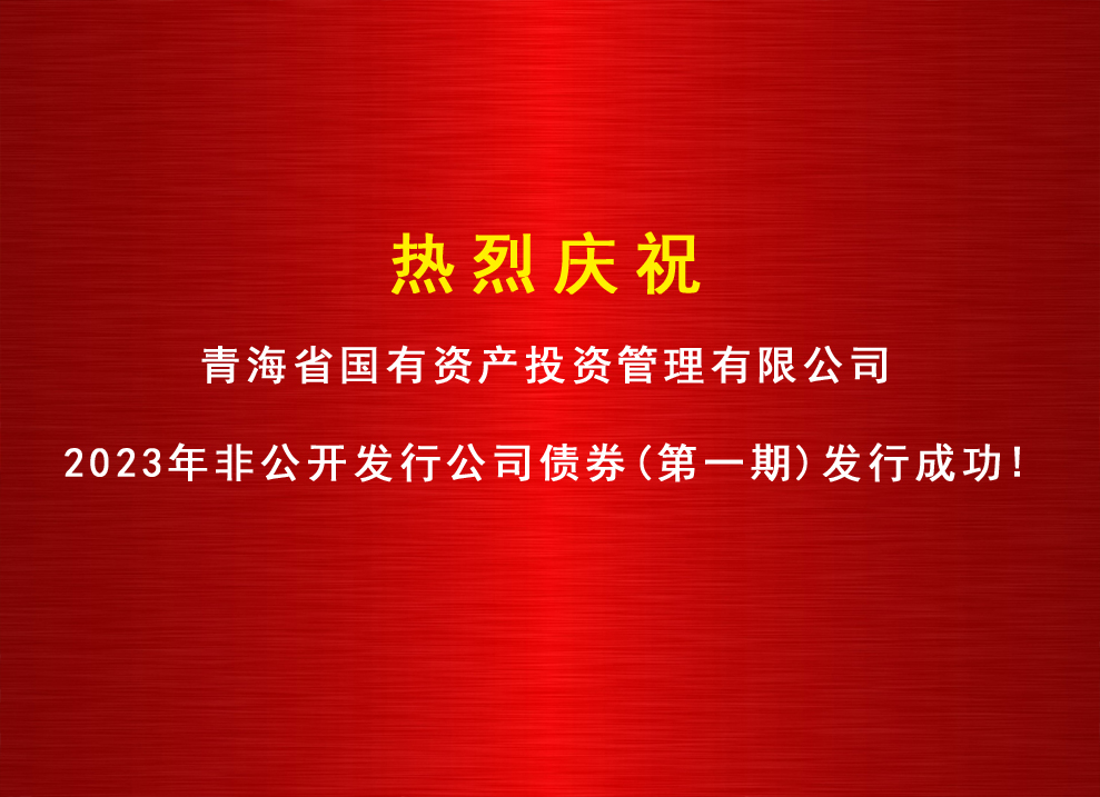 金沙电子(中国)集团有限公司2023年非公开发行公司债券（第一期）发行成功
